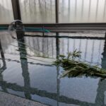 5月5日　菖蒲湯